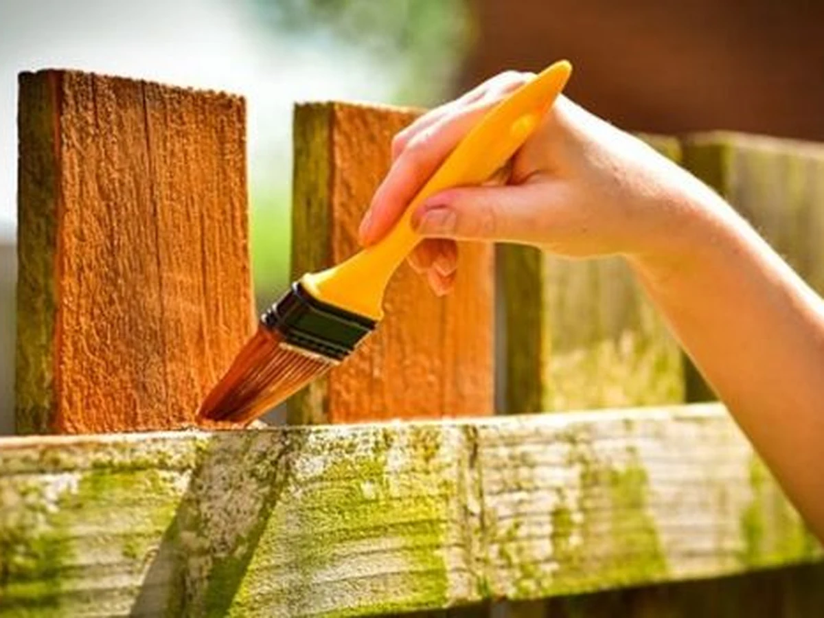 fence-painting-hand-applying-dark-durham-decorators Fence painting in Durham - hand applying dark wood stain to timber fence by Durham Painters